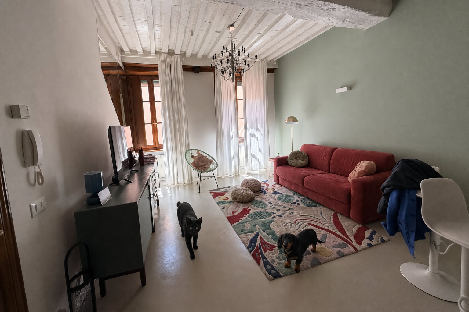 Two dogs walk the polished concrete floor; the chandelier watches, unimpressed.
